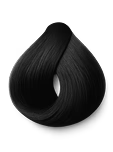 Hair Dye Shampoo - Black